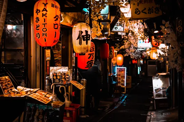 8 Days 7 Nights Japan Tour Package