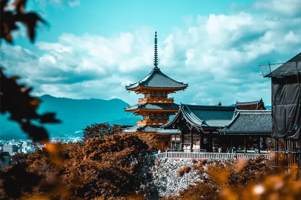 9 Days 8 Nights Japan Tour Package