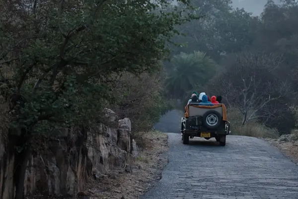 Ranthambore Tiger Safari Tour