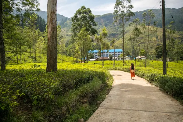 5-Day Sri Lanka Wildlife Tour Package