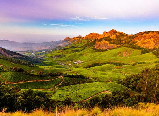 ケララ 2泊3日ツアー